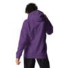 Person in a purple hooded sweatshirt, back view.